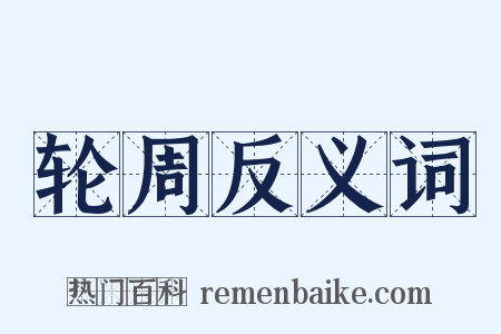 轮周反义词是什么意思的图片